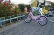 stojan na kola �adov� 1 - pohled 2 - www.idealmarket.cz